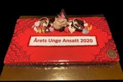 aarets_unge_ansatt2
