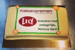 fjossystemer
