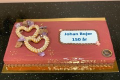 johan_bojer2