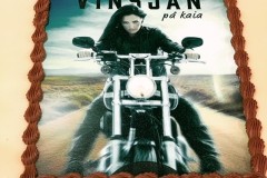 vinsjan_paa_kaia