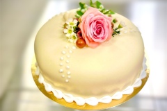 PhotoRoom_20230812_093350